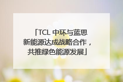 TCL 中环与蓝思新能源达成战略合作，共推绿色能源发展